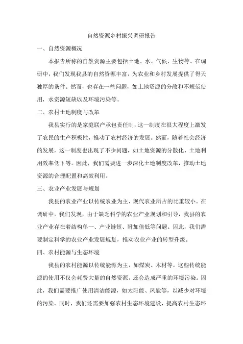 自然资源乡村振兴调研报告