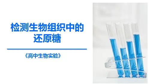 高中生物实验《检测生物组织中的还原糖》