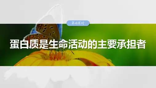 人教版高考生物一轮复习第一单元 第4课时 蛋白质是生命活动的主要承担者