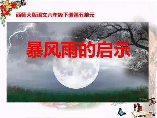 《暴风雨的启示》 精品PPT课件2(21张)