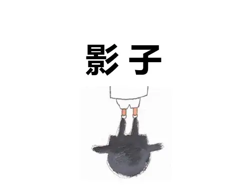 《影子》幼儿园中班科学PPT课件