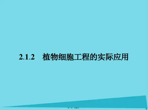 高中生物2.1.2植物细胞工程的实际应用课件新人教版选修3