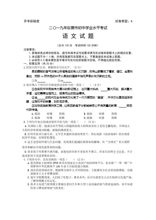 2019年山东省东营市中考语文试题(含答案)