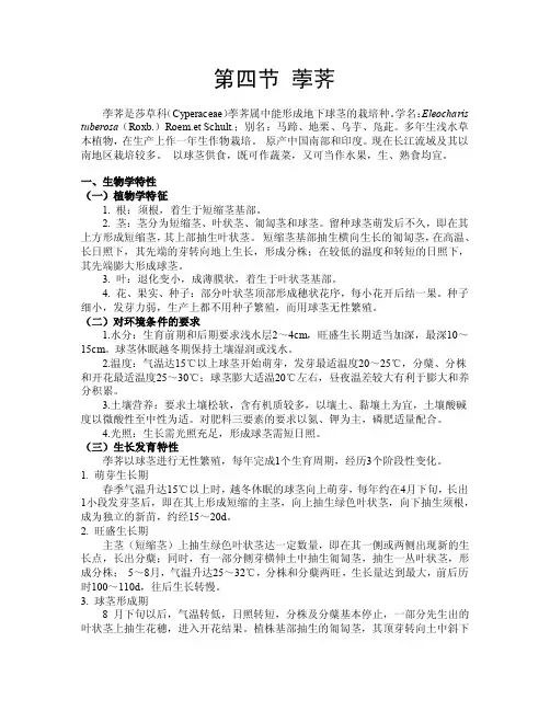 第四节荸荠（水生蔬菜荸荠栽培技术）