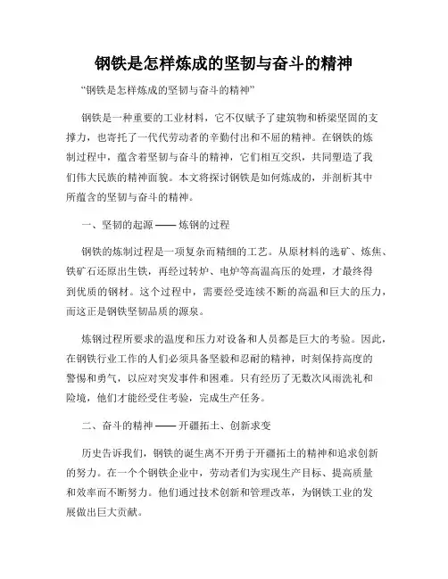 钢铁是怎样炼成的坚韧与奋斗的精神