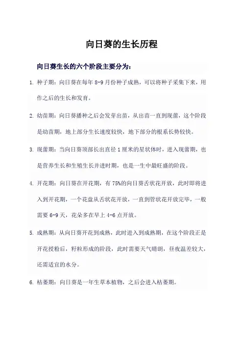 向日葵的生长历程