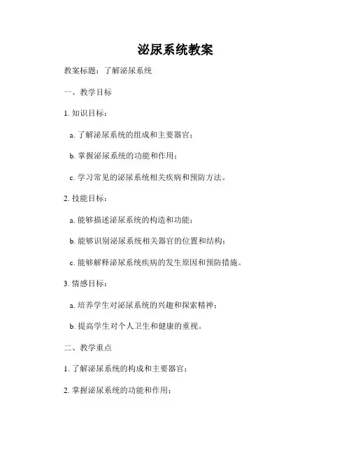 泌尿系统教案