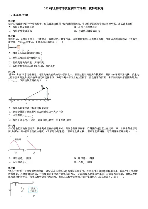 2024年上海市奉贤区高三下学期二模物理试题