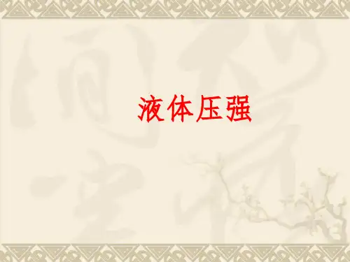 人教版物理八年级下册第九章第二节液体的压强  课件(共17张PPT)
