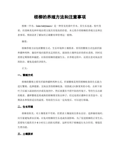 柽柳的养殖方法和注意事项