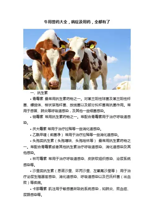 牛用兽药大全，病症及用药，全都有了