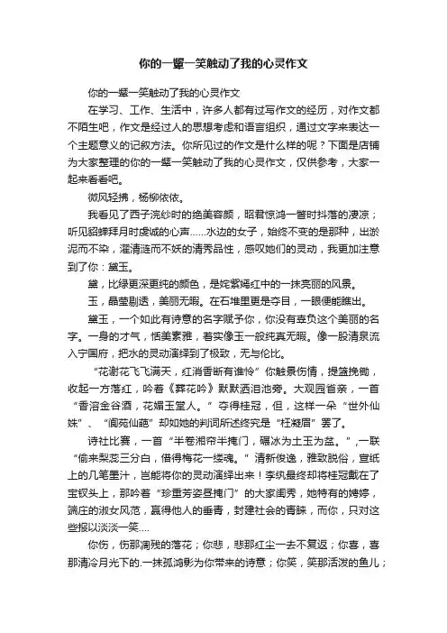 你的一颦一笑触动了我的心灵作文