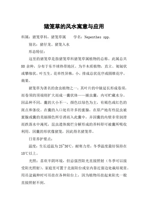 猪笼草的风水寓意与应用