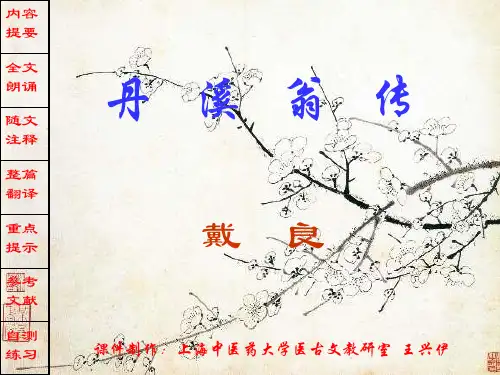 丹溪翁传