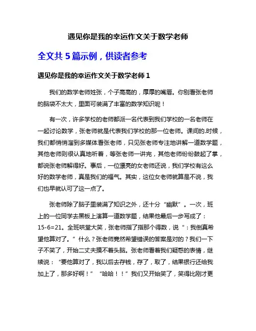 遇见你是我的幸运作文关于数学老师
