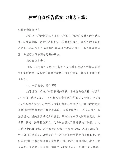 驻村自查报告范文(精选5篇)