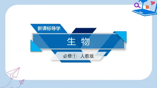 高中生物第三章细胞的基本结构第3节细胞核__系统的控制中心课件新人教版必修1