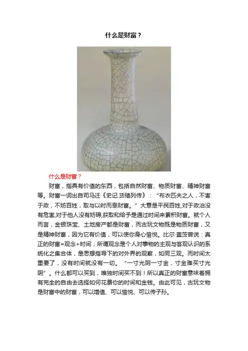 什么是财富？