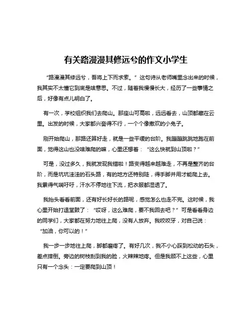 有关路漫漫其修远兮的作文小学生
