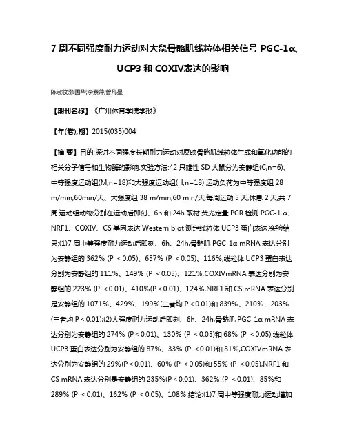 7周不同强度耐力运动对大鼠骨骼肌线粒体相关信号PGC-1α、UCP3和COXⅣ表达的影响