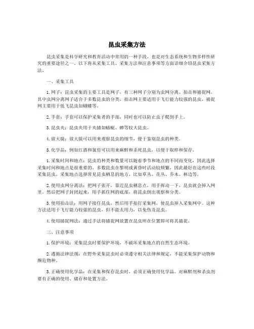 昆虫采集方法