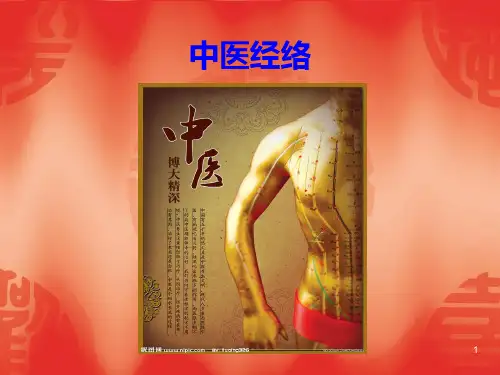 足少阴肾经PPT课件