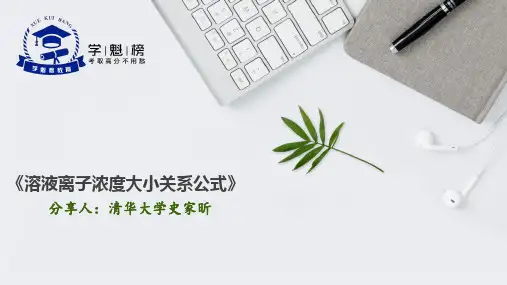 24-溶液离子浓度大小关系公式