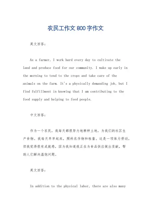 农民工作文800字作文