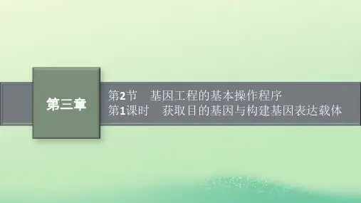 高中生物第3章基因工程第2节基因工程的基本操作程序第1课时获取目的基因与构建基因表达载体课件新人教版