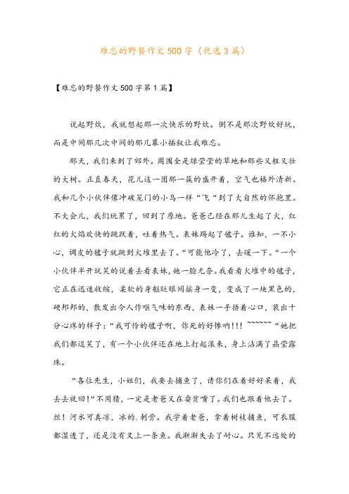 难忘的野餐作文500字(优选3篇)