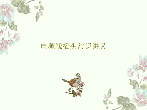 电源线插头常识讲义共42页文档