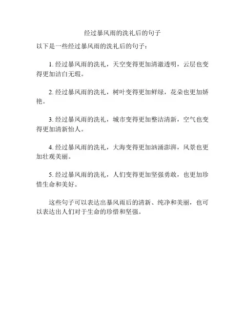 经过暴风雨的洗礼后的句子
