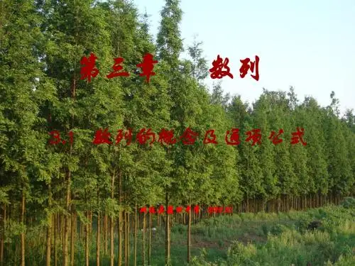 数列概念及通项公式1