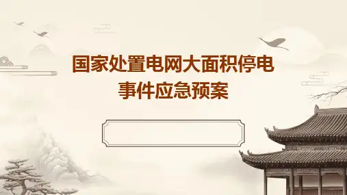 2024版国家处置电网大面积停电事件应急预案