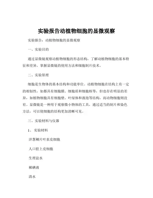 实验报告动植物细胞的显微观察