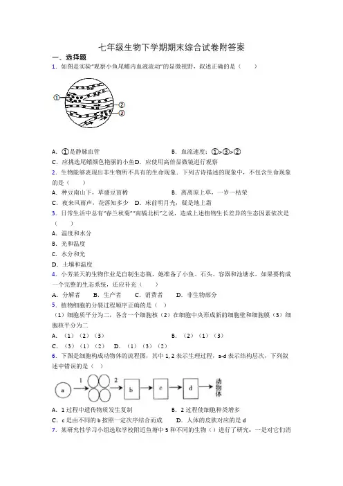 七年级生物下学期期末综合试卷附答案