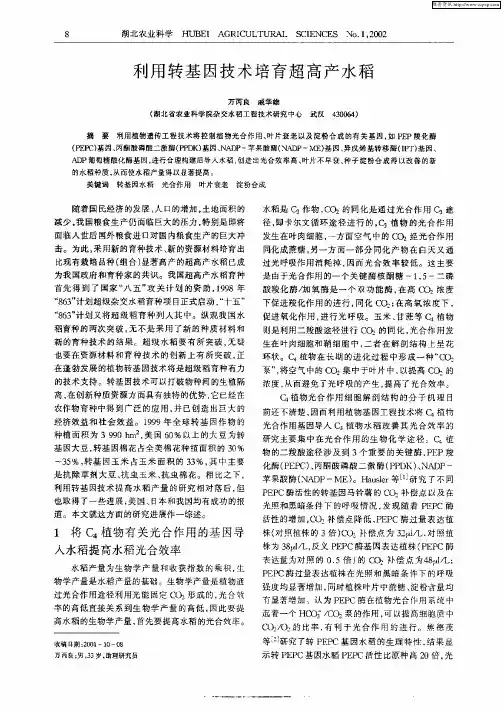 利用转基因技术培育超高产水稻