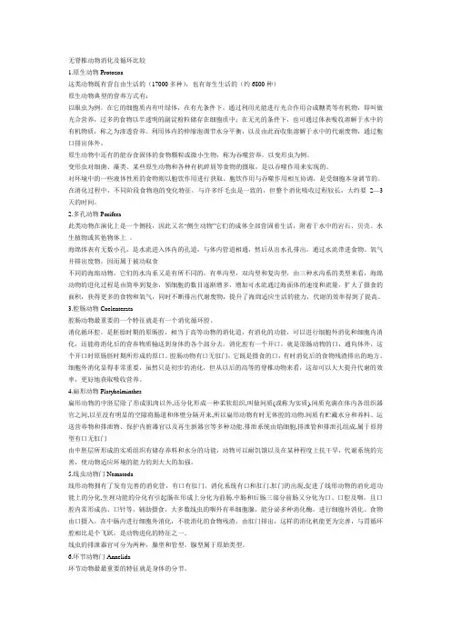 无脊椎动物消化及循环比较