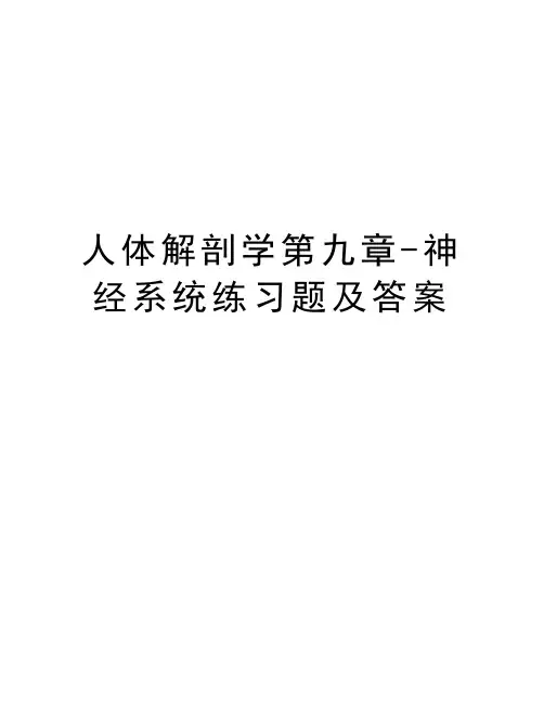 人体解剖学第九章-神经系统练习题及答案资料讲解