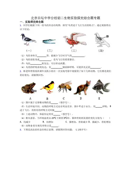 北京日坛中学分校初二生物实验探究综合题专题
