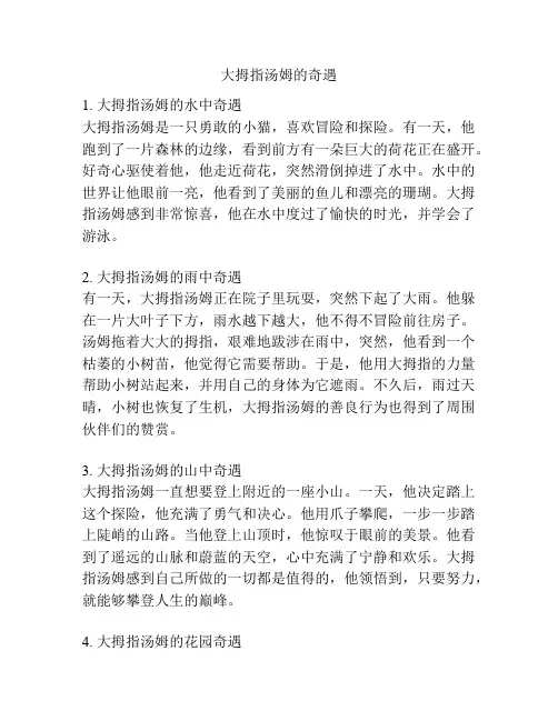 大拇指汤姆的奇遇