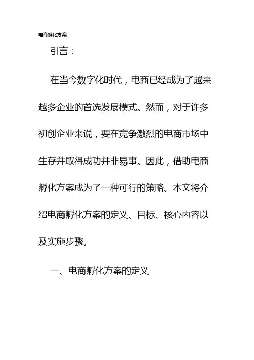 电商孵化方案