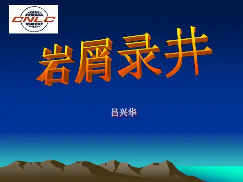 岩屑录井