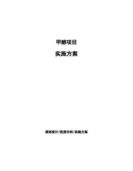 甲醇项目实施方案