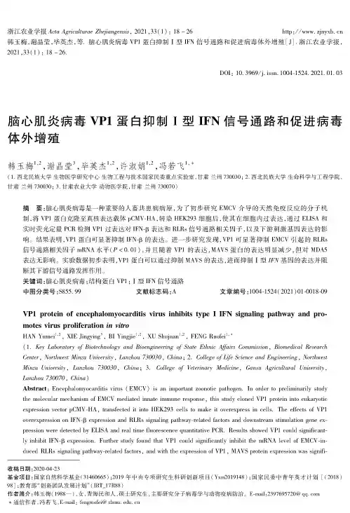 脑心肌炎病毒VP1蛋白抑制Ⅰ型IFN信号通路和促进病毒体外增殖