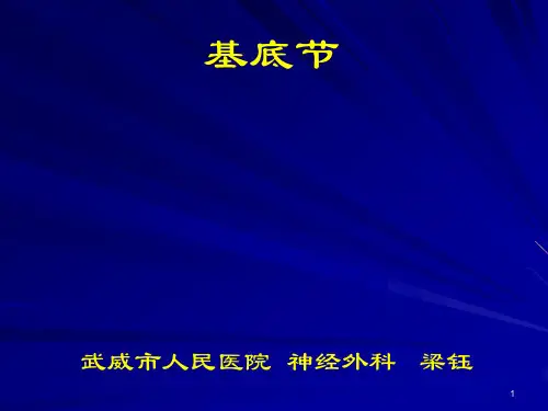 基底节解剖PPT课件
