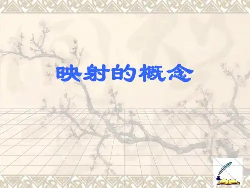 函数的表示法(2)映射的概念