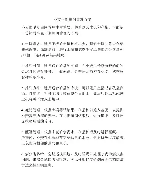 小麦早期田间管理方案