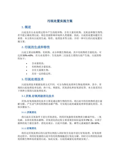 污泥处置实施方案