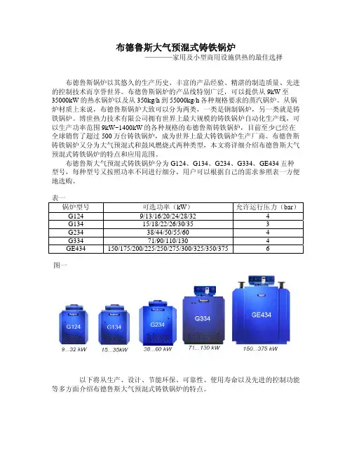 布德鲁斯大气预混式铸铁锅炉